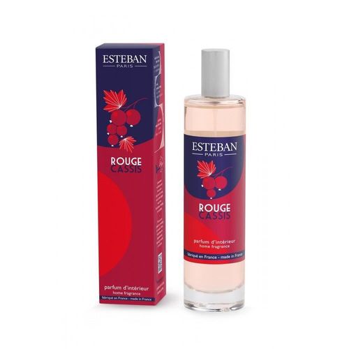 Spray Camera 75 ml Rouge Cassis - Esteban Paris