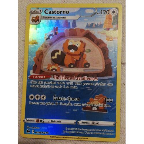 Pokémon Carte Castorno 