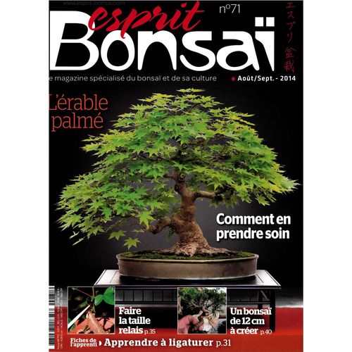 Esprit Bonsai