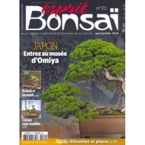 Esprit Bonsaï N70