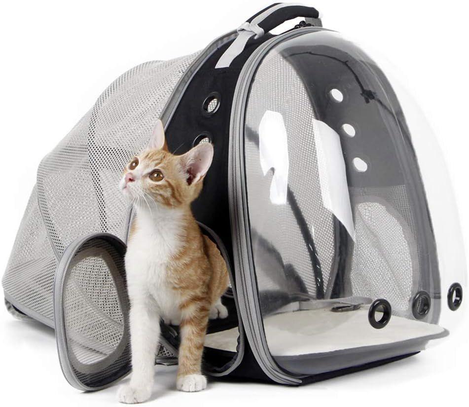 sac de voyage pour chats et chiens, extensible, pliable, capacité