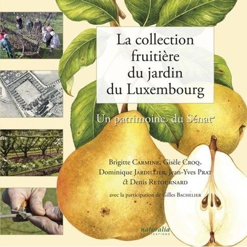 La Collection Fruitière Du Jardin Du Luxembourg - Un Patrimoine Du Sénat