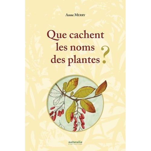 Que Cachent Les Noms Des Plantes ?