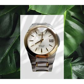 Seiko Chronograph Montre Seiko Perpetual Calendar Seiko Perpetual