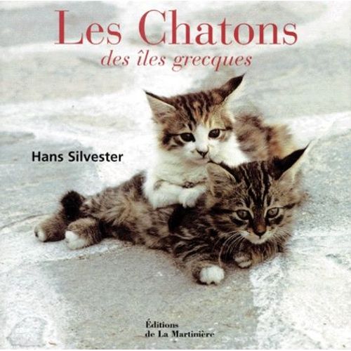 Les Chatons Des Îles Grecques