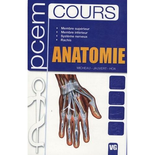 Anatomie