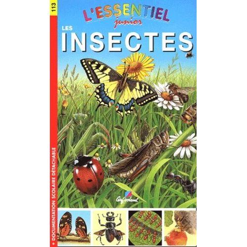 Les Insectes
