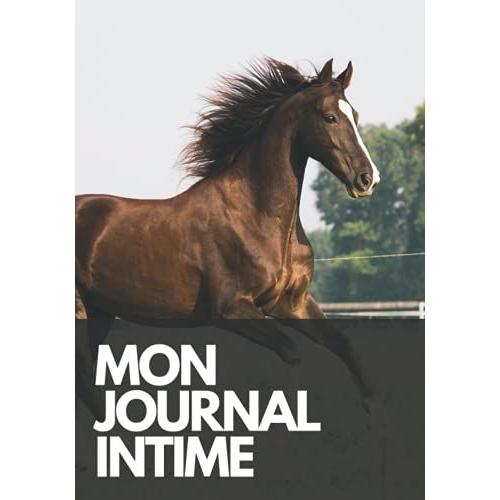 Mon Journal Intime 100 Pages Numerotes | Fille | Secret | Femme | Intime | Mots | Ecrit | Histoire | Ecole | Enfant: Journal Intimes De 100 Pages Grand Format