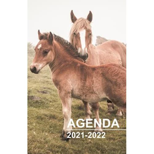 Agenda 2021 2022: Agenda Scolaire 2021 2022 Cheval Pour Collège Lycée Étudiant Pour Fille Et Garçon | Planificateur Journalier Septembre 2021 À Août ... Les Amoureux Des Chevaux - Format Standard