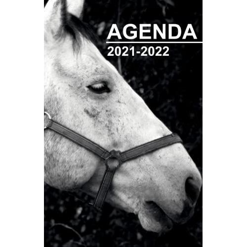 Agenda 2021 2022: Agenda Scolaire 2021 2022 Cheval Pour Collège Lycée Étudiant Pour Fille Et Garçon | Planificateur Journalier Septembre 2021 À Août ... Les Amoureux Des Chevaux - Format Standard