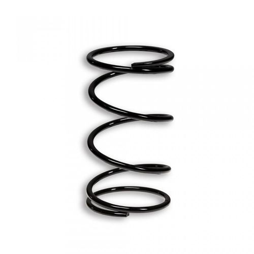 Ressort D Embrayage Malossi Pour Scooter Mbk 50 Cw Rs Booster Ng 1995 À 2007 Neuf