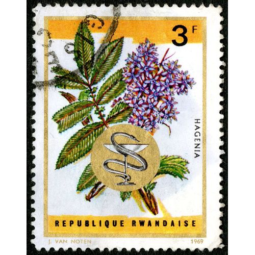 Timbre Oblitéré République Rwandaise, Hagenia, 1969, 3 F