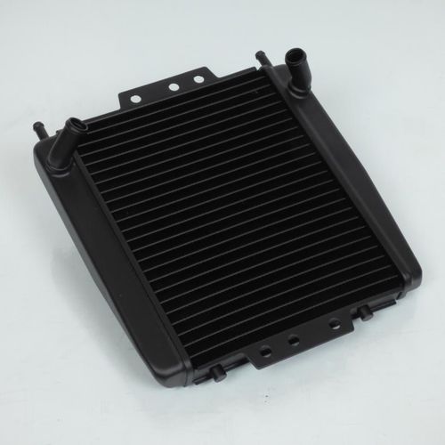 Radiateur De Refroidissement Teknix Pour Scooter Piaggio 125 Mp3 Neuf