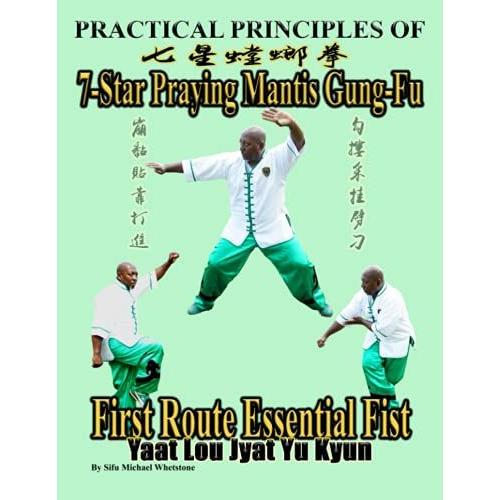 Practical Principles Of 7-Star Praying Mantis Gungfu: First Road Summary Fist