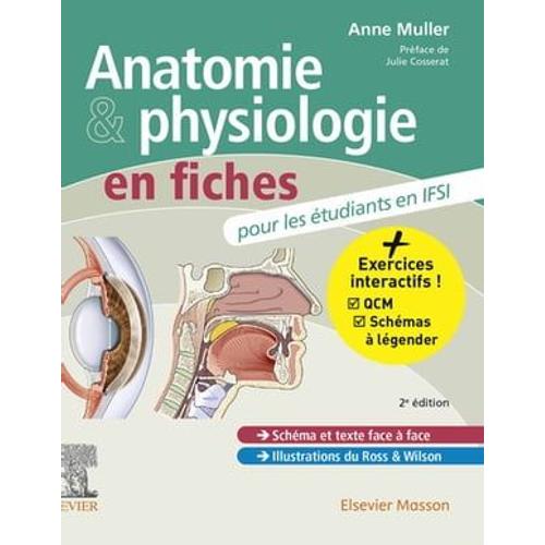 Anatomie Et Physiologie En Fiches Pour Les Étudiants En Ifsi