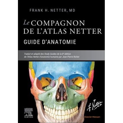 Le Compagnon De L'atlas Netter - Guide D'anatomie