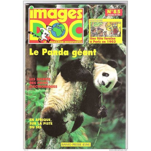 Revue Images Doc N°85. Janvier 1996. Le Panda Geant