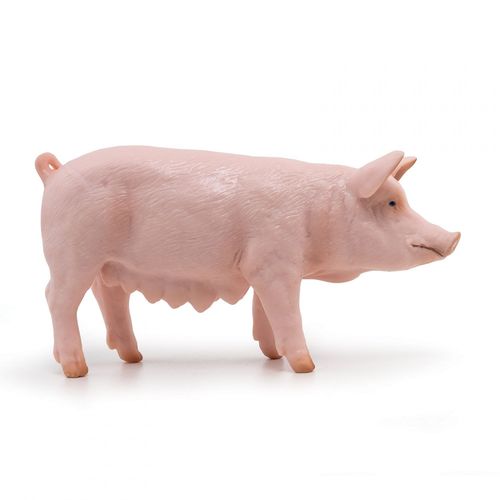 La Vie A La Ferme Truie
