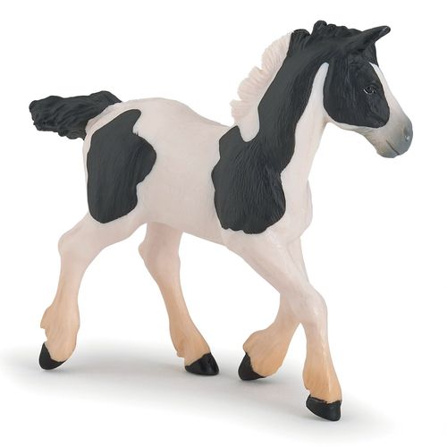 Chevaux, Poulains Et Poneys Poulain Cob Pie Noir 
