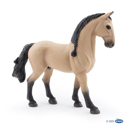 Chevaux, Poulains Et Poneys Cheval Lusitanien