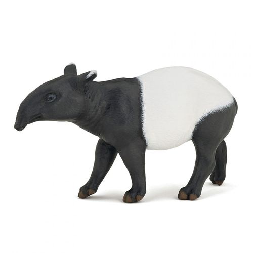 La Vie Sauvage Tapir