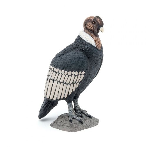 La Vie Sauvage Condor