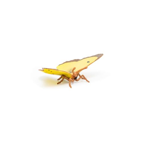La Vie Sauvage Papillon Souci