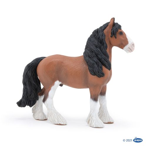 Chevaux, Poulains Et Poneys Clydesdale