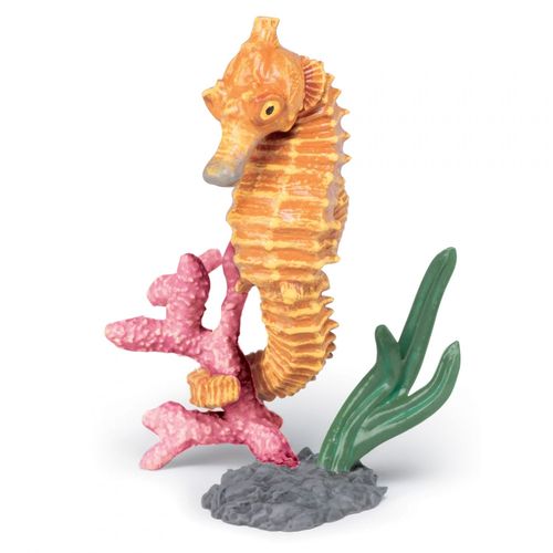 L'univers Marin Hippocampe