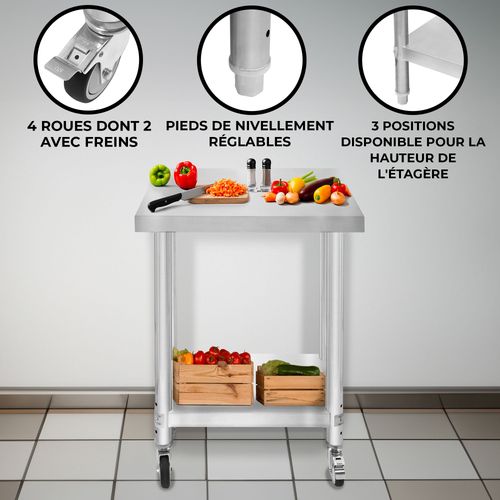 Table De Travail Préparation Professionelle Cuisine En Inox - 60cm X 45cm X 86cm - Plan De Préparation Culinaire Chariot De Cuisine - 4 Roues Amovibles - Restaurant, Bar, Horeca Cdh