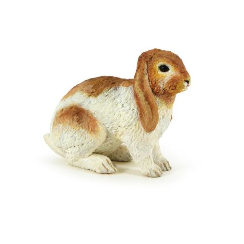 La Vie A La Ferme Lapin Bélier