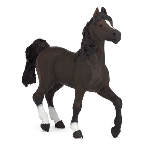 Chevaux, Poulains Et Poneys Cheval Arabe