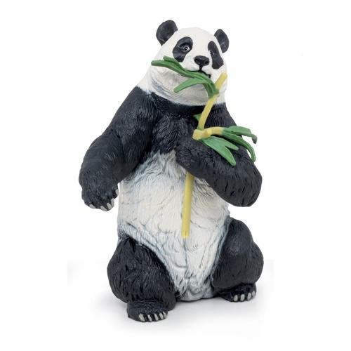 La Vie Sauvage Panda Avec Bambou