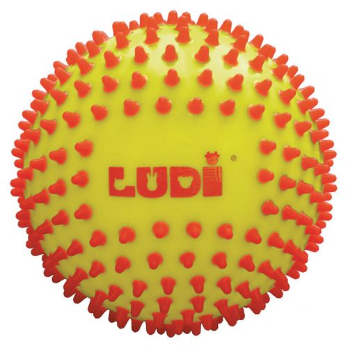 Ludi Balle Sensorielle Bicolore