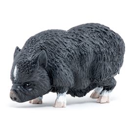 La Vie A La Ferme Cochon Vietnamien
