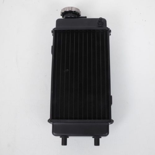 Radiateur De Refroidissement Noir Type Origine Pour Moto Mbk 50 Xlimit Neuf