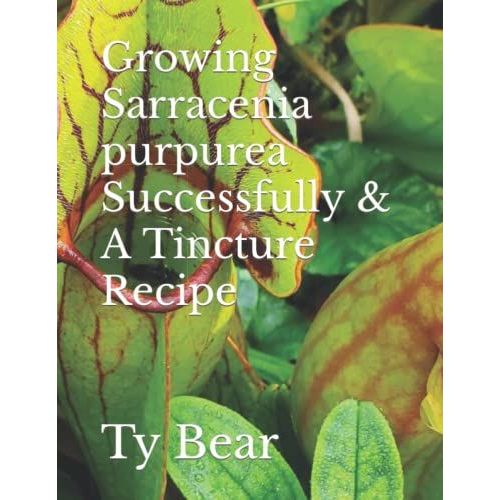 Growing Sarracenia Purpurea Successfully & A Tincture Recipe