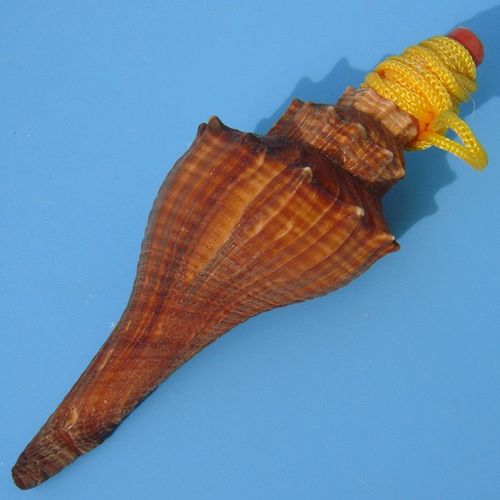 Grand Sifflet À Vis En Forme De Conque De Mer,Bijouterie Artisanale,Petits Cadeaux Pour Enfants Gratuits - Type E10cm