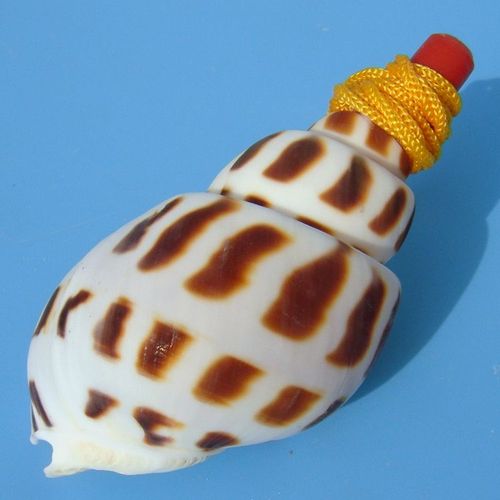 Grand Sifflet À Vis En Forme De Conque De Mer,Bijouterie Artisanale,Petits Cadeaux Pour Enfants Gratuits - Type A 7-8cm