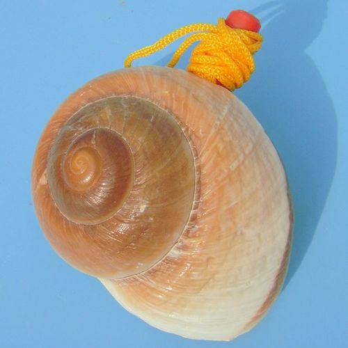 Grand Sifflet À Vis En Forme De Conque De Mer,Bijouterie Artisanale,Petits Cadeaux Pour Enfants Gratuits - Type F 9cm