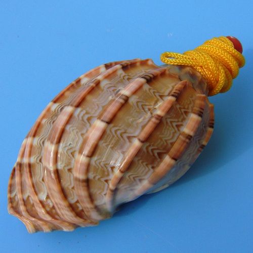 Grand Sifflet À Vis En Forme De Conque De Mer,Bijouterie Artisanale,Petits Cadeaux Pour Enfants Gratuits - Type G9cm