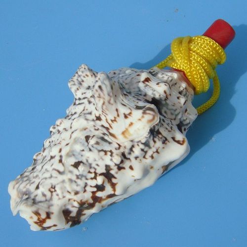Grand Sifflet À Vis En Forme De Conque De Mer,Bijouterie Artisanale,Petits Cadeaux Pour Enfants Gratuits - Type B 9cm