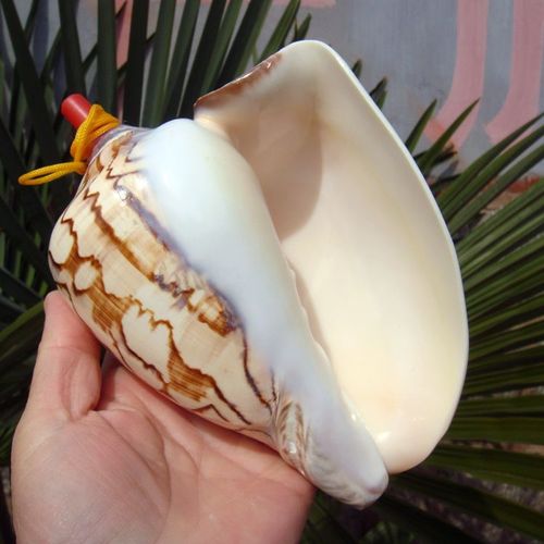 Grand Sifflet À Vis En Forme De Conque De Mer,Bijouterie Artisanale,Petits Cadeaux Pour Enfants Gratuits - Type M15cm