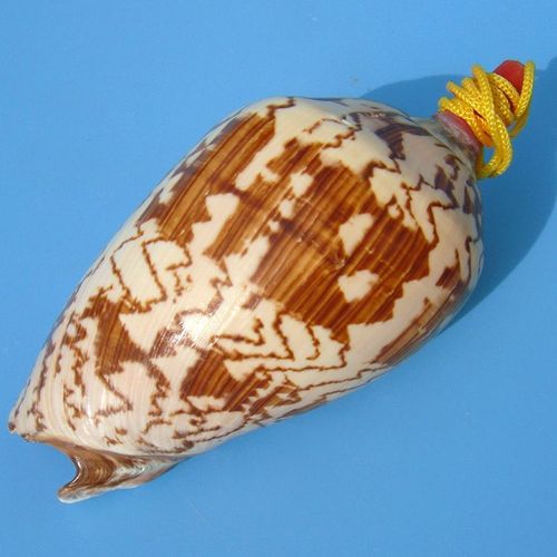 Grand Sifflet À Vis En Forme De Conque De Mer,Bijouterie Artisanale,Petits Cadeaux Pour Enfants Gratuits - Type L10-11cm