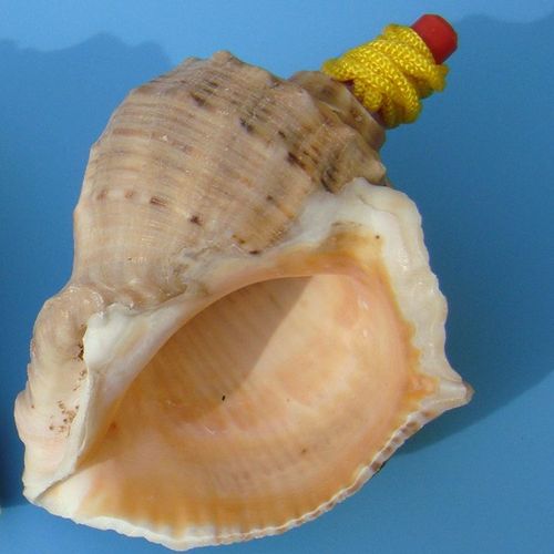 Grand Sifflet À Vis En Forme De Conque De Mer,Bijouterie Artisanale,Petits Cadeaux Pour Enfants Gratuits - Type J12cm