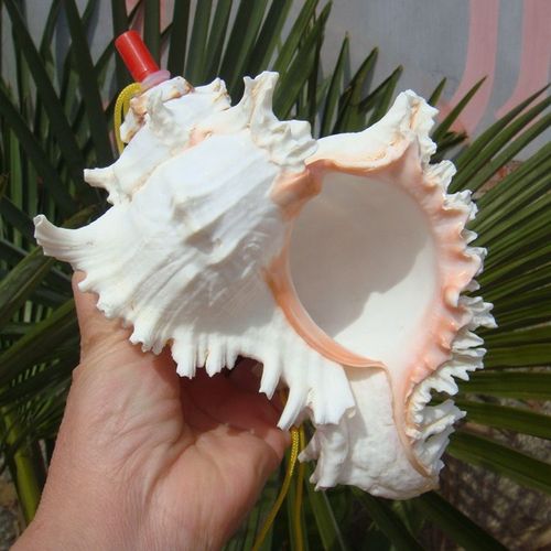 Grand Sifflet À Vis En Forme De Conque De Mer,Bijouterie Artisanale,Petits Cadeaux Pour Enfants Gratuits - Type V21cm