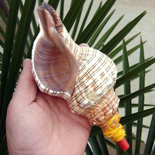 Grand Sifflet À Vis En Forme De Conque De Mer,Bijouterie Artisanale,Petits Cadeaux Pour Enfants Gratuits - Type P 15cm