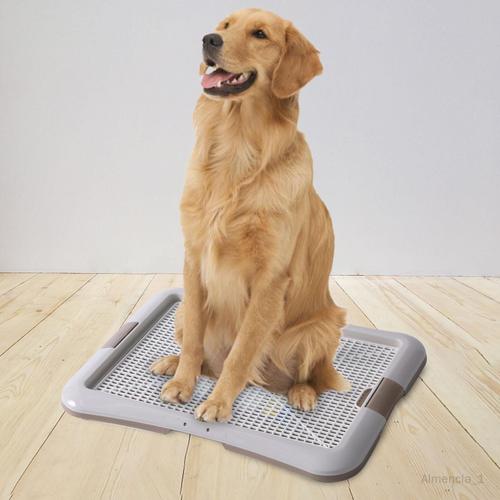 Chien Toilette Pee Pad Litière Litière Grilles Amovibles Grilles