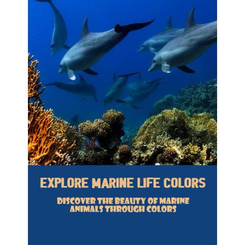 Explore Marine Life Colors: Discover The Beauty Of Marine Animals Through Colors