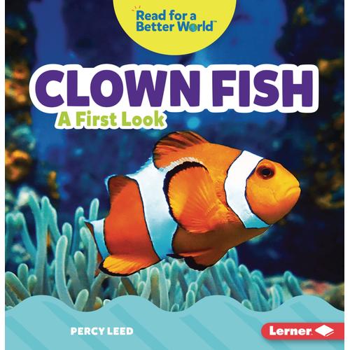 Clown Fish